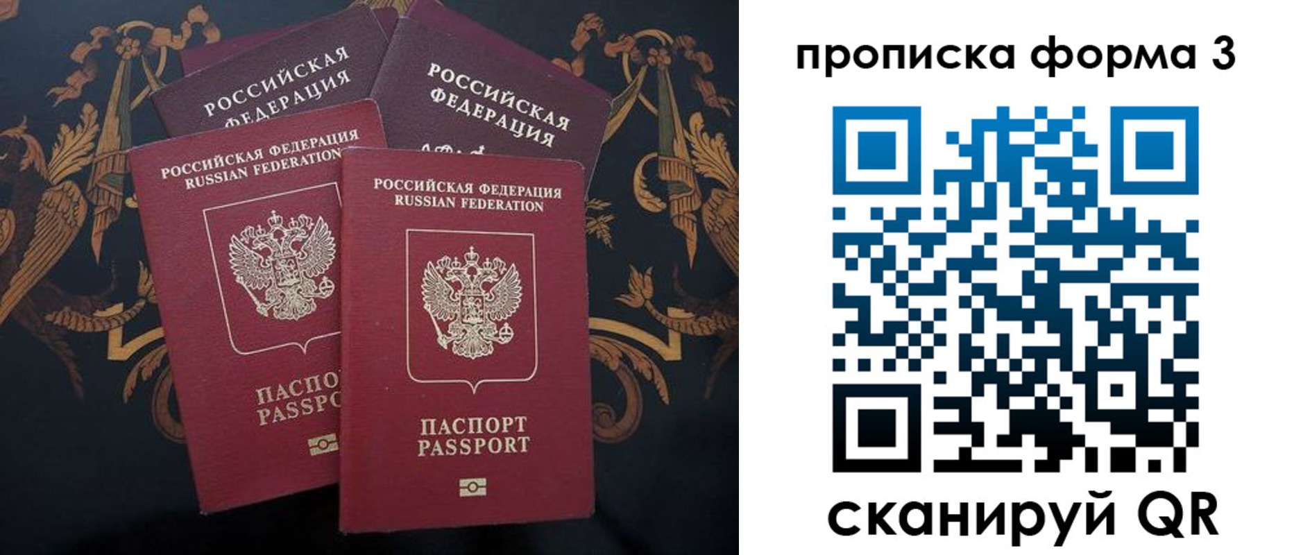 прописка законно в Читинской области